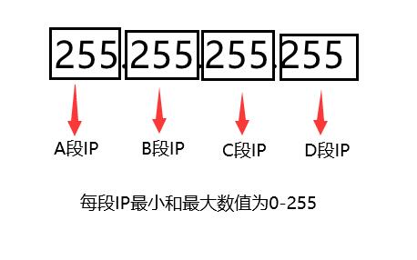 韩国站群服务器的C段和IP段的含义以及不同IP段的优势是什么?
