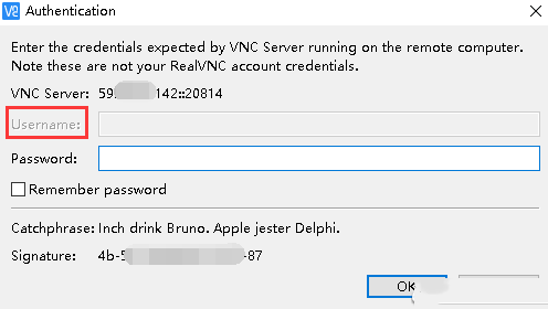 如何解决VNC连接Windows系统时无法输入用户名问题-341