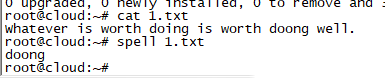 Ubuntu18.04系统如何用spell检查并输出文件中出现的拼写错误-1147