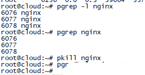 Ubuntu18.04系统如何用pkill命令按照进程名杀死进程-1173