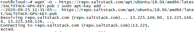 Ubuntu18.04系统如何安装SaltStack-1367