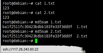 Debian8系统如何用md5sum命令验证文件完整性