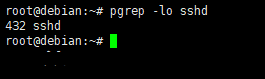 Debian8系统如何用pgrep命令以名称为依据从运行进程队列中查找进程-2551
