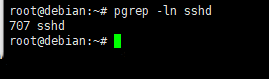 Debian8系统如何用pgrep命令以名称为依据从运行进程队列中查找进程-2552
