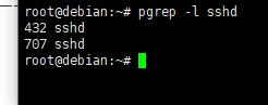 Debian8系统如何用pgrep命令以名称为依据从运行进程队列中查找进程-2553
