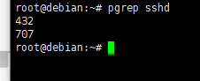 Debian8系统如何用pgrep命令以名称为依据从运行进程队列中查找进程-2554