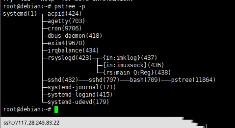 Debian8系统如何用pstree命令以树状图的方式展现进程之间的派生关系-2589