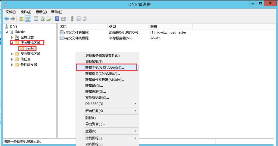 Windows server 2012 R2DNS-2762