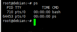 Debian8系统如何使用PS命令查看进程-2884