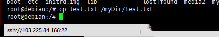 Debian8系统如何使用CP命令移动拷贝文件-3484
