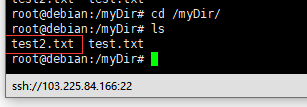 Debian8系统如何使用CP命令移动拷贝文件-3487