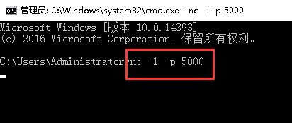 Windows server 2016ΰװʹnetcat-4323