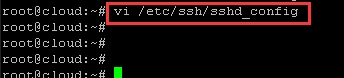 Ubuntu18.04如何修改远程ssh端口号-4535
