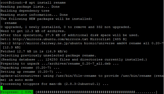 Ubuntu18.04系统中如何安装批量修改文件名称工具rename-4794
