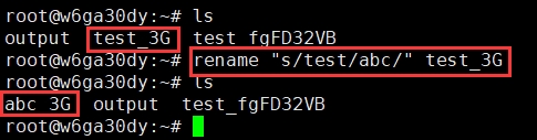 Debian使用rename命令批量修改文件名