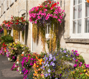 �ʻ��������